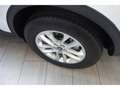 Ford Kuga 1.5 EcoBoost EU6d-T Titanium X AHK Navi Leder Soun Wit - thumbnail 5