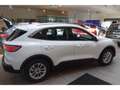Ford Kuga 1.5 EcoBoost EU6d-T Titanium X AHK Navi Leder Soun Wit - thumbnail 3