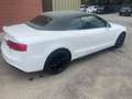 Audi A5 Cabrio 2.0 tdi Business Plus 190cv - thumbnail 3