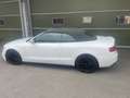 Audi A5 Cabrio 2.0 tdi Business Plus 190cv - thumbnail 2