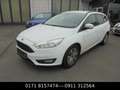 Ford Focus Turnier Business Weiß - thumbnail 1