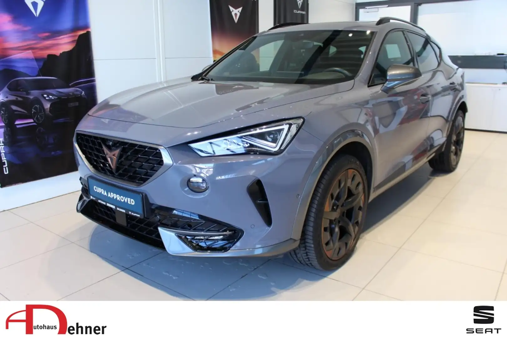 CUPRA Formentor 2.0 TDI 4Drive PANO+ACC+360KAM+AHK Klima Navi Grau - 1