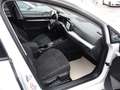 Volkswagen Golf VIII Lim. Life/DSG/Navi/AHK/LED/PDC/150PS/ Weiß - thumbnail 13