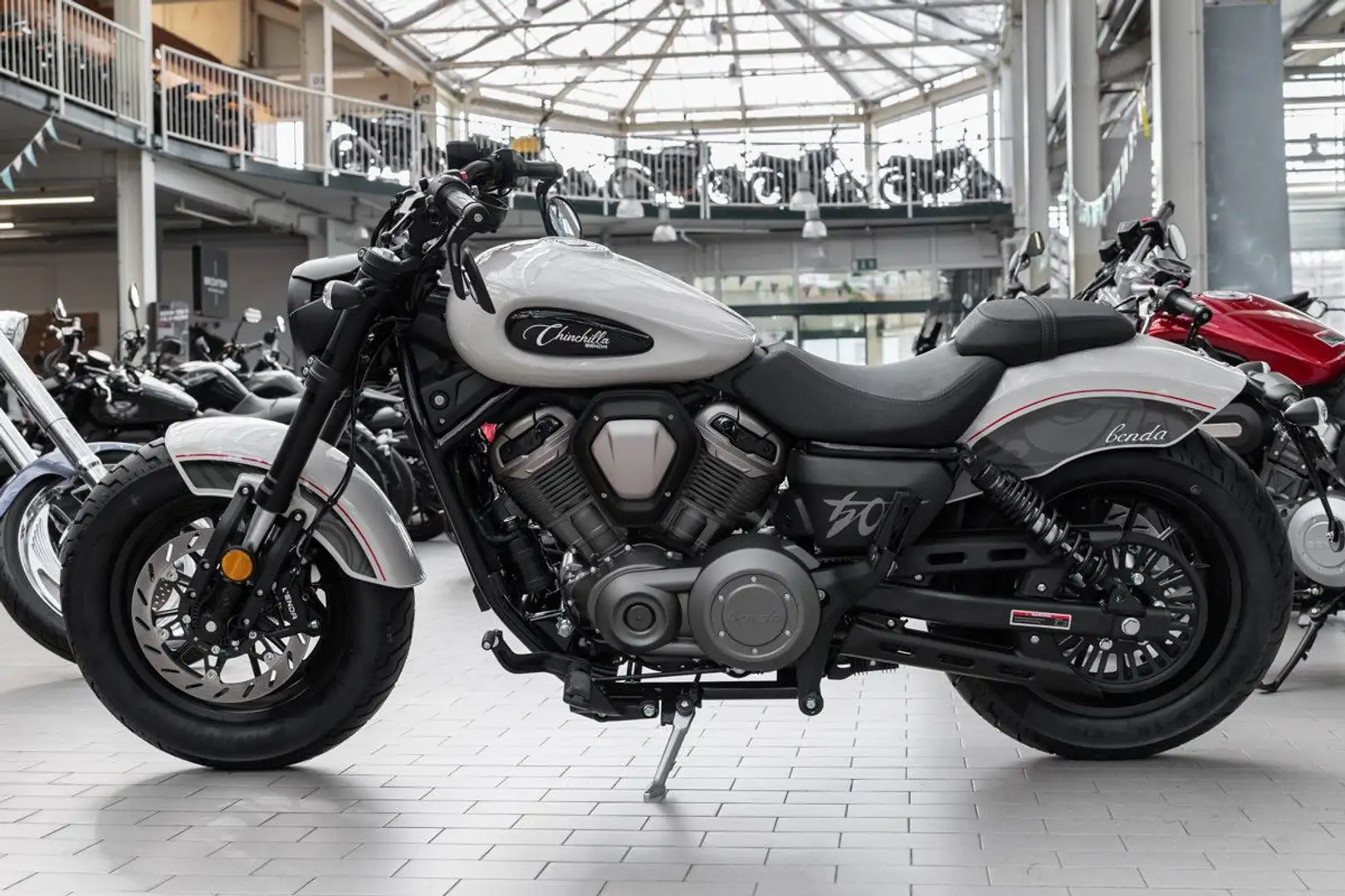 Benda Chinchilla 500 sofort lieferbar, Lieferservice Blanc - 2