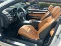 Mercedes-Benz E 250 BlueEFFICIENCY Cabrio,7-Gang,360°,PreSafe - thumbnail 21