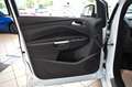 Ford Kuga 1.5 ST-Line~4x4~Automatik~Navi~Kamera~Apple Weiß - thumbnail 12