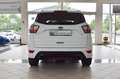 Ford Kuga 1.5 ST-Line~4x4~Automatik~Navi~Kamera~Apple Weiß - thumbnail 8