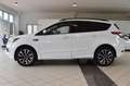 Ford Kuga 1.5 ST-Line~4x4~Automatik~Navi~Kamera~Apple Weiß - thumbnail 5