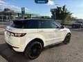 Land Rover Range Rover Evoque 5p 2.0 td4 hse dynamic 180cv auto Bianco - thumbnail 5