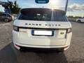Land Rover Range Rover Evoque 5p 2.0 td4 hse dynamic 180cv auto Bianco - thumbnail 6