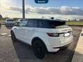 Land Rover Range Rover Evoque 5p 2.0 td4 hse dynamic 180cv auto Bianco - thumbnail 7