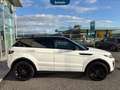 Land Rover Range Rover Evoque 5p 2.0 td4 hse dynamic 180cv auto Bianco - thumbnail 4