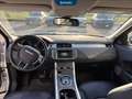Land Rover Range Rover Evoque 5p 2.0 td4 hse dynamic 180cv auto Bianco - thumbnail 11