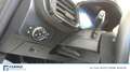 Ford Fiesta Active 1.0 ecoboost h X 125cv Grijs - thumbnail 19