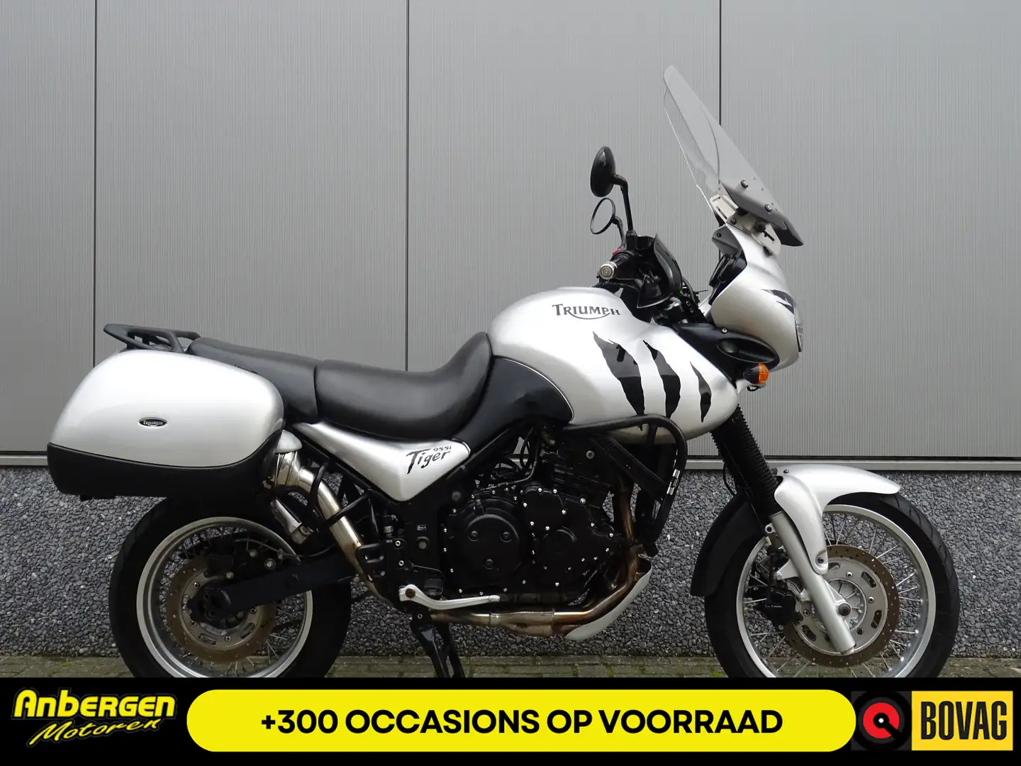 Triumph Tiger 955i Blanc - 1