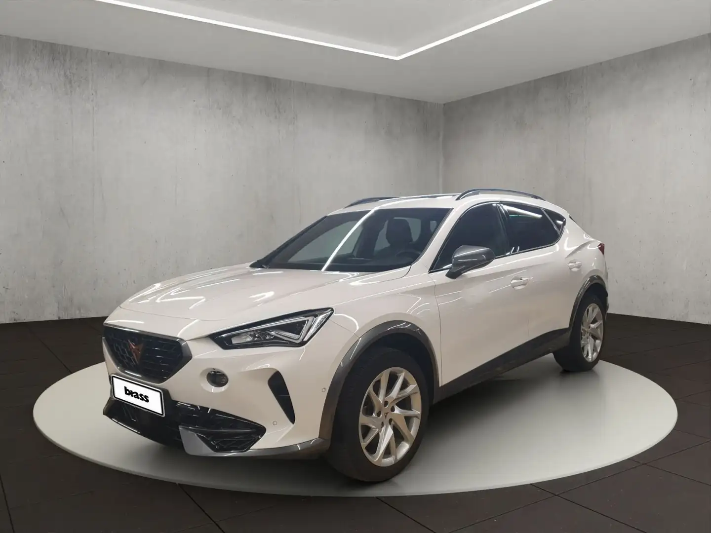 CUPRA Formentor 1.5 TSI Full Link Winterpaket Panorama Weiß - 1