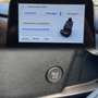 Ford Puma 1.0 ecoboost Hybrid Titanium X S&S 125 cv Grigio - thumbnail 10