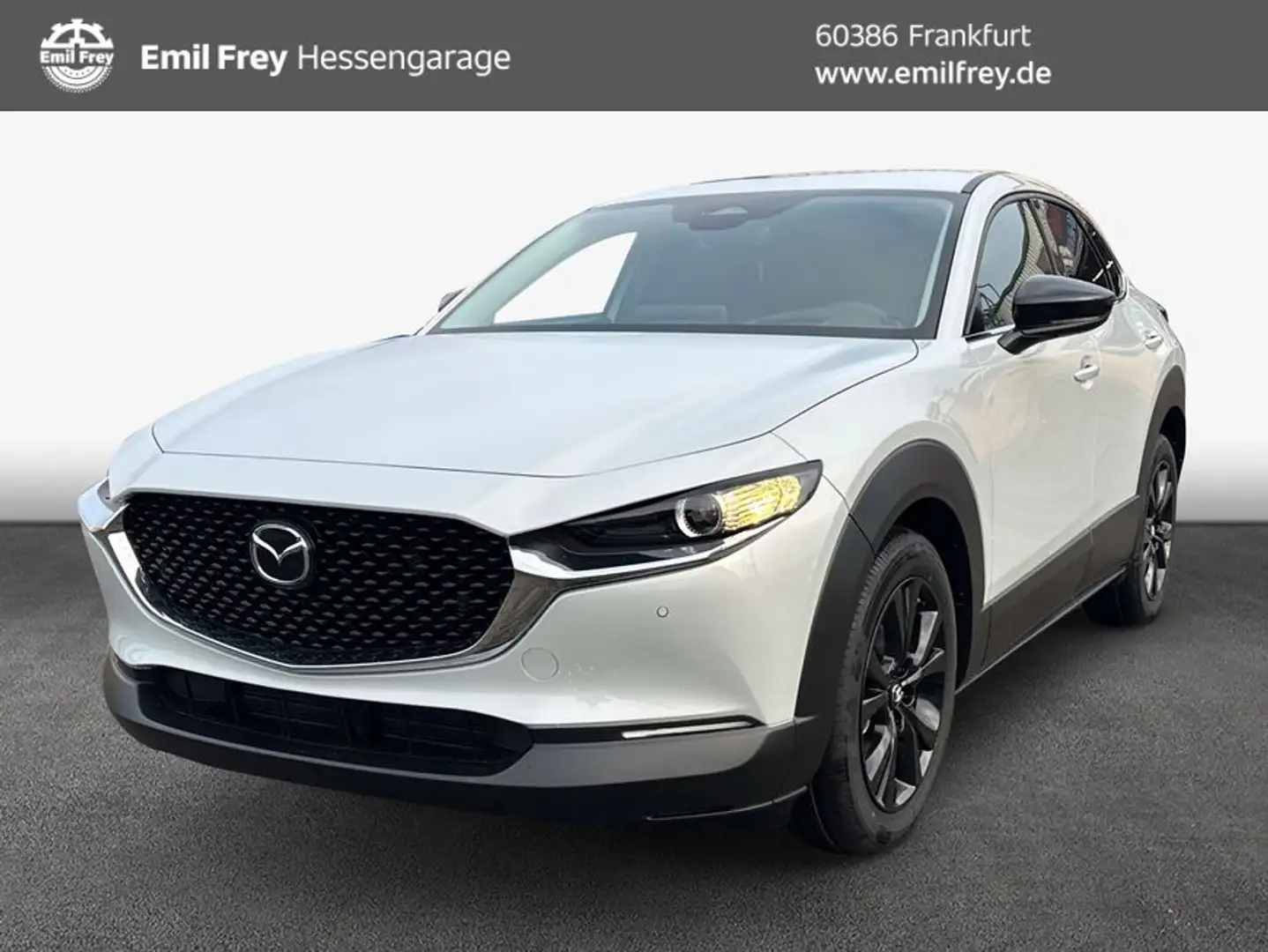 Mazda CX-30 e-SKYACTIVE X 186 SKYACTIV-Drive EXCLUSIVE-L Grau - 1