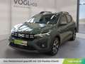 Dacia Sandero Stepway Expression TCe 110 Grün - thumbnail 1