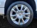 Chevrolet Silverado 1500 High Country 6.2 LPG*AHK 3500 KG*SHD Wit - thumbnail 5