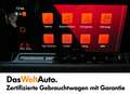 Volkswagen Golf Variant R-Line TDI DSG Grau - thumbnail 10