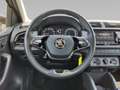 Skoda Fabia 1.0 TSI Cool Plus PDC KLIMA DAB Braun - thumbnail 13