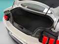 Ford Mustang Fastback 5.0 Ti-VCT GT Blanco - thumbnail 28