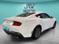 Ford Mustang Fastback 5.0 Ti-VCT GT Blanco - thumbnail 3