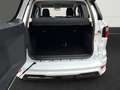 Ford EcoSport ST-Line B&O+Temp+Kamera+LED+Navi+Klima+DAB Weiß - thumbnail 8