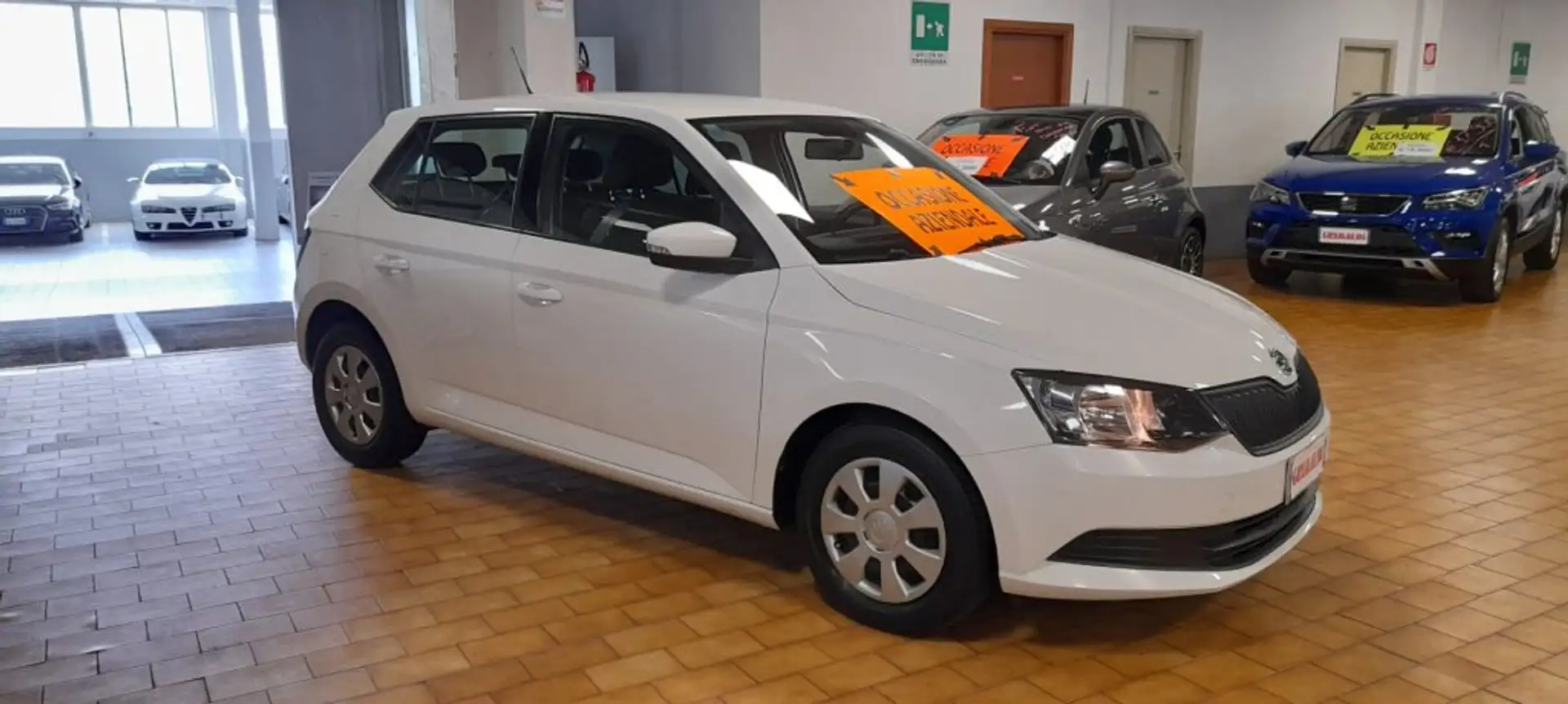 Skoda Fabia 1.4 TDI 75 CV Active Gris - 2