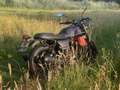 Moto Guzzi V 7 carbon limited edtion No. 713 van 1921 stuks - thumbnail 15