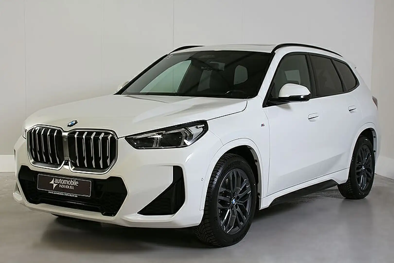 BMW X1 xDrive23d M Sportpaket ACC Widescreen HuD Pan Bianco - 2