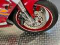 Suzuki GSX-R 750 Wit - thumbnail 5