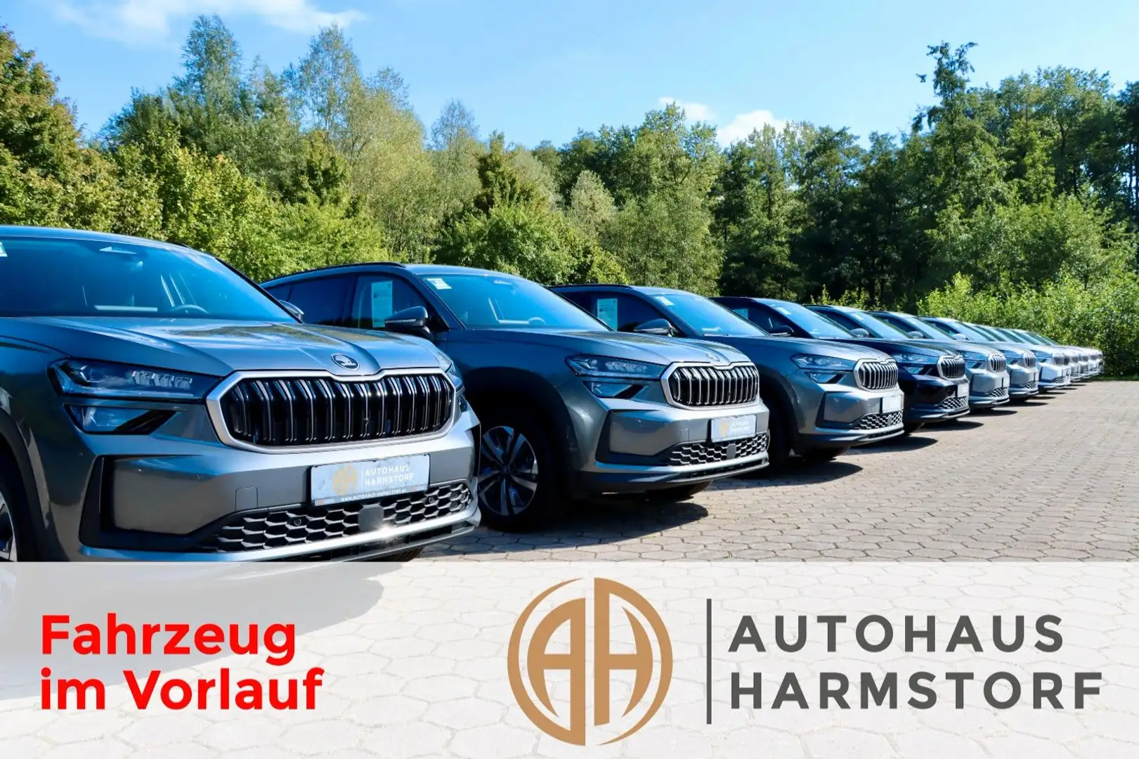 Skoda Kodiaq 1.5 TSI  AHK 7-Sitze Matrix Navi Grau - 1