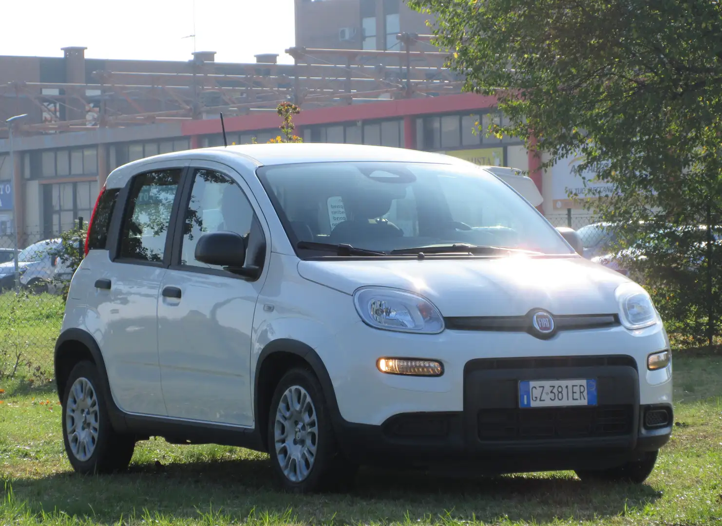 Fiat Panda Pandina 1.0 firefly hybrid s&s 70cv 5pti Blanco - 2