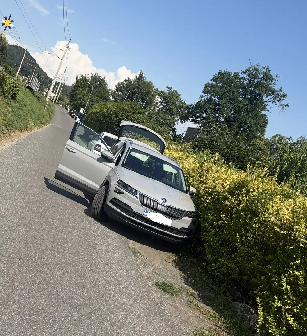 Skoda Karoq 1,6 TDI Style, Pickerl Neu - 1