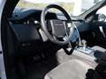 Land Rover Discovery Sport P300e R-Dynamic S LED 360° Wit - thumbnail 20