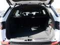 Land Rover Discovery Sport P300e R-Dynamic S LED 360° Wit - thumbnail 8