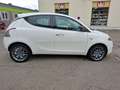 Lancia Ypsilon Gold Blanc - thumbnail 15