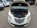 Lancia Ypsilon Gold Blanc - thumbnail 14