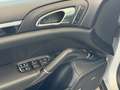 Porsche Cayenne II Platinum Edition Aut. Grau - thumbnail 21