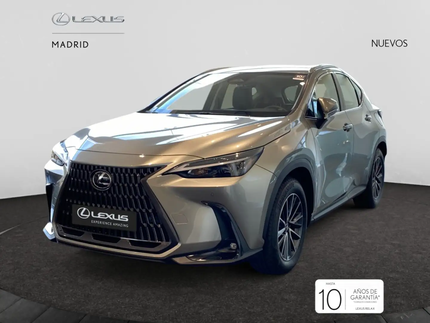 Lexus NX 300h 350h F Sport 4WD Grigio - 2