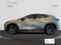 Lexus NX 300h 350h F Sport 4WD Grau - thumbnail 3