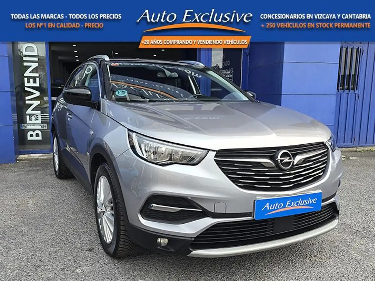 Opel Grandland X 1.5CDTi S&S 120 Aniversario 130 Gris - 1