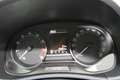 Skoda Fabia 25 1,0 Argintiu - thumbnail 13