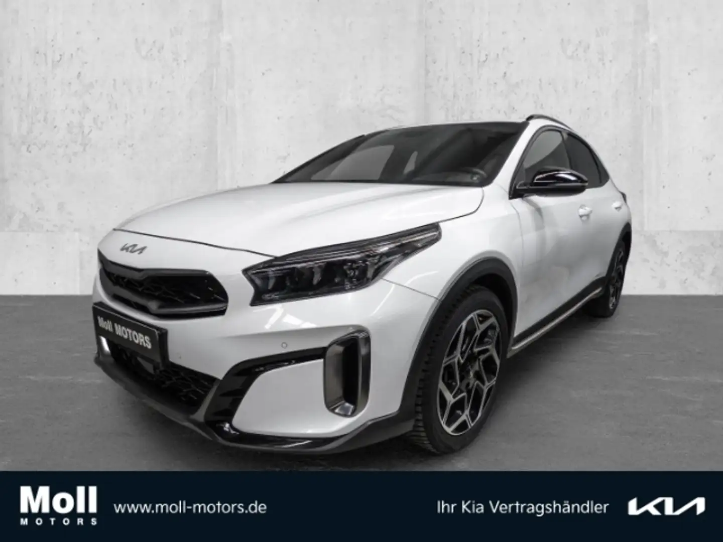 Kia XCeed GT-Line 1.6 T-GDI EU6d Navi Leder digitales Cockpi Blanc - 1