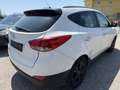 Hyundai iX35 2,0 CRDi Premium 2WD Weiß - thumbnail 3