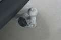 Volkswagen Tiguan 2.0 TDI DSG Life Goal/AHK/LEDPLUS/KAMERA Schwarz - thumbnail 34