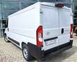 Toyota Proace Max 2.2-l-D 33 L2H1 Work bijela - thumbnail 3