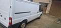 Ford Transit Bus Weiß - thumbnail 3